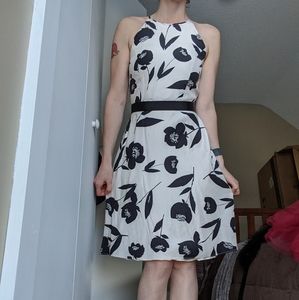 Size 0 Ann Taylor 100% silk dress